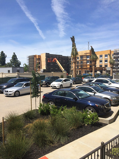 Las Palmas Grand Opening - Full Parking lot