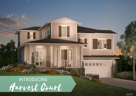 Harvest Court New Home Development by Renowned Builder