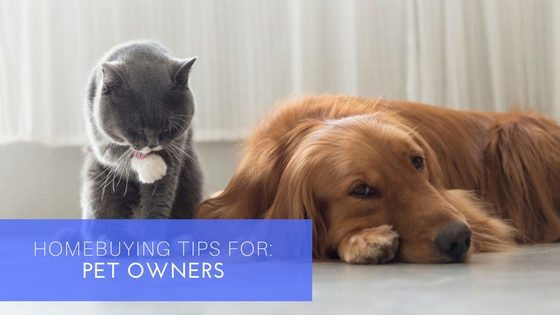 Home buying tips for pet owners in San Francisco