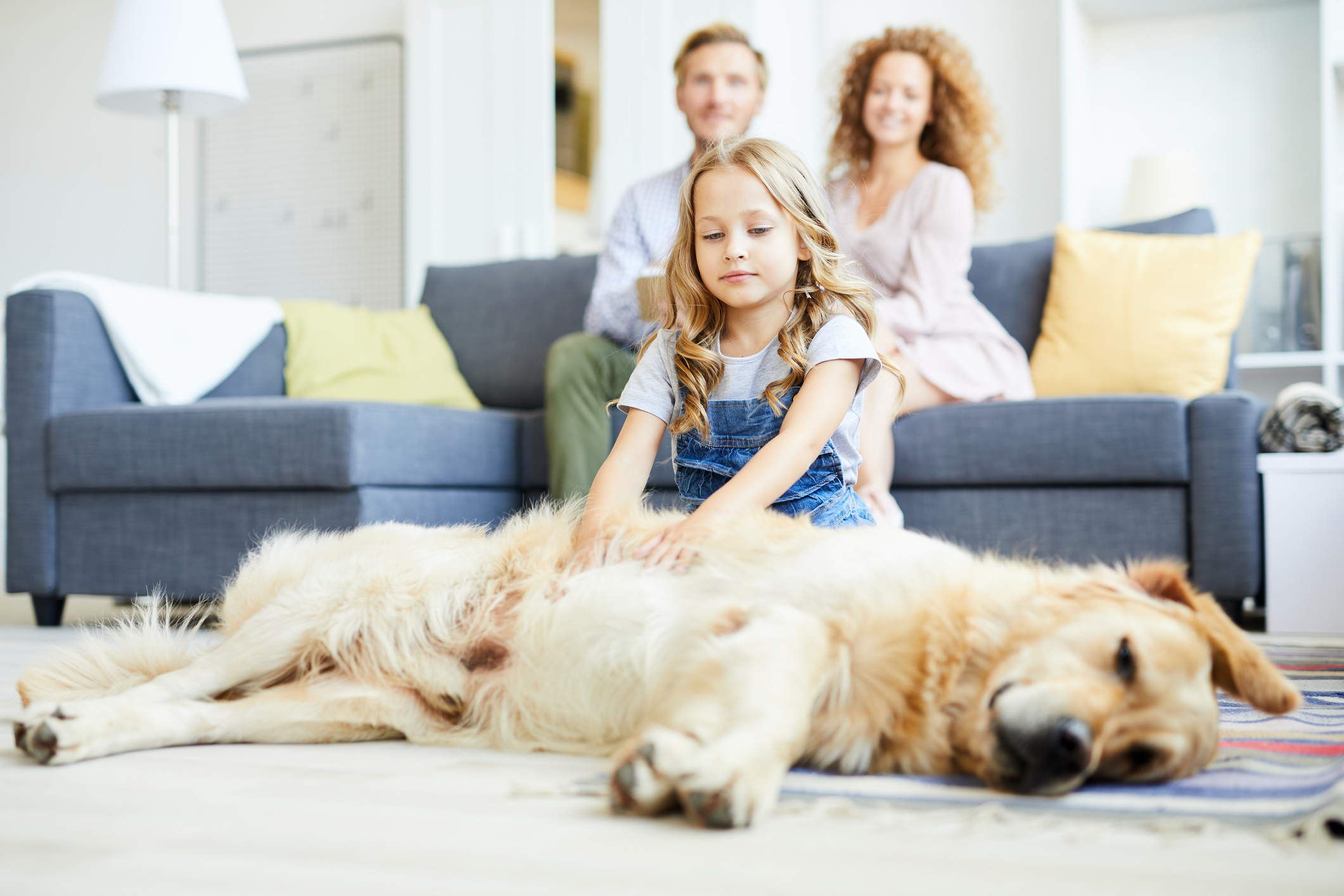 How to Help New Pets Adjust to their Home